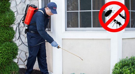 Karakeçili Böcek ve Haşere İlaçlama böcek ilaçlama ve haşere kontrolü — ilaclama-tr.com